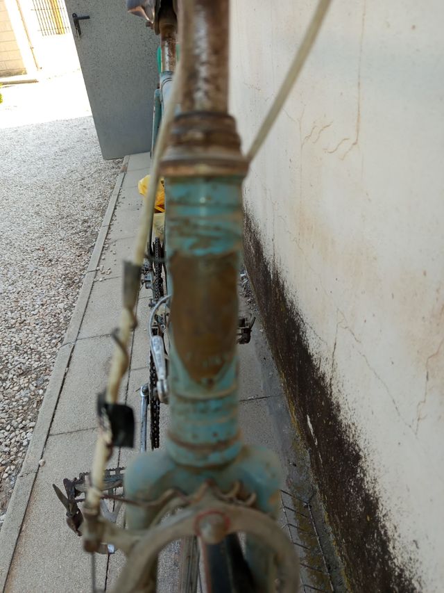 Bicicleta Regina Vintage