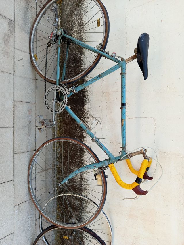 Bicicleta Regina Vintage