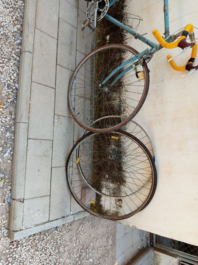 Bicicleta Regina Vintage