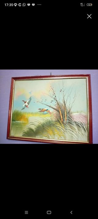 Cuadro aves acuáticas