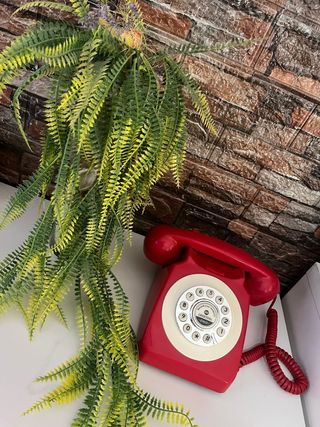Teléfono de eventos 