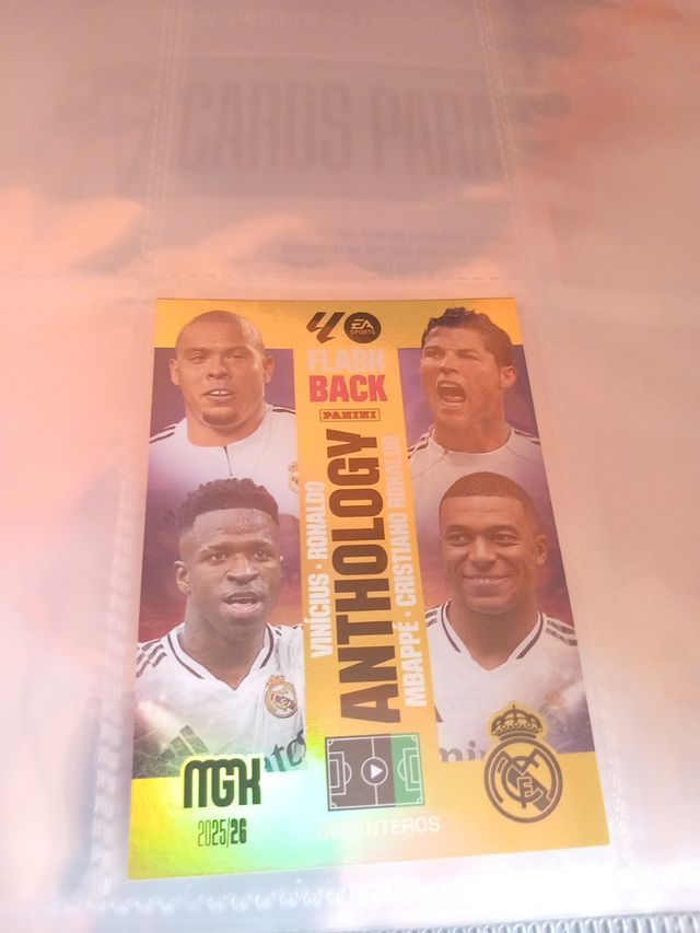 Croma Panini Anthology Flashback