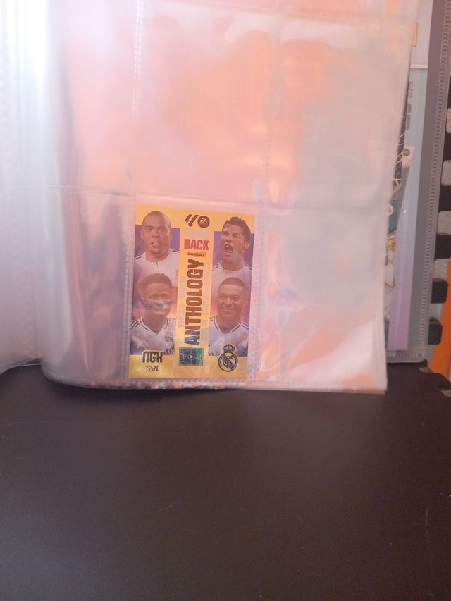 Croma Panini Anthology Flashback