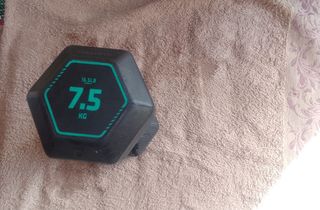 Mancuerna 7.5kg - 16.5lb