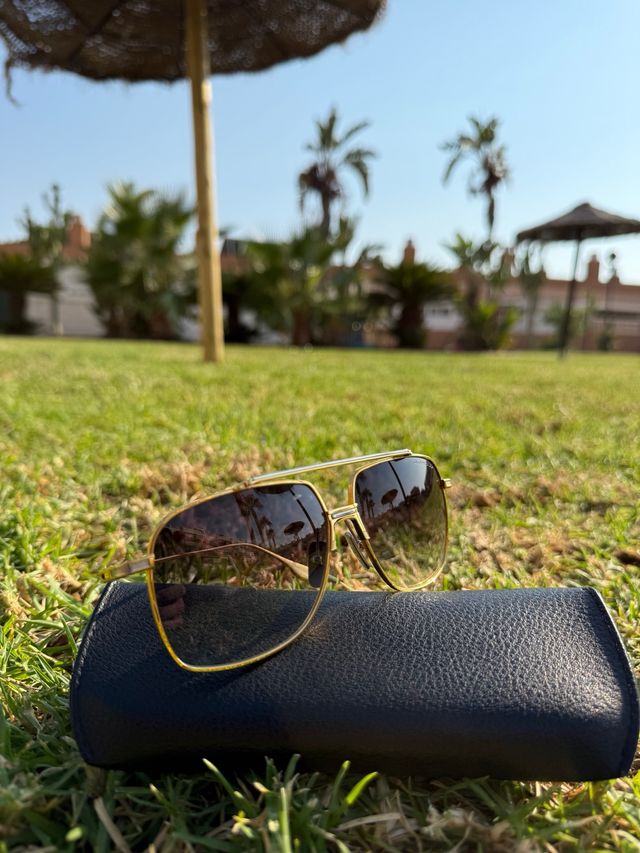 DITA Alkamx DTS-100 - Gafas sol lujo