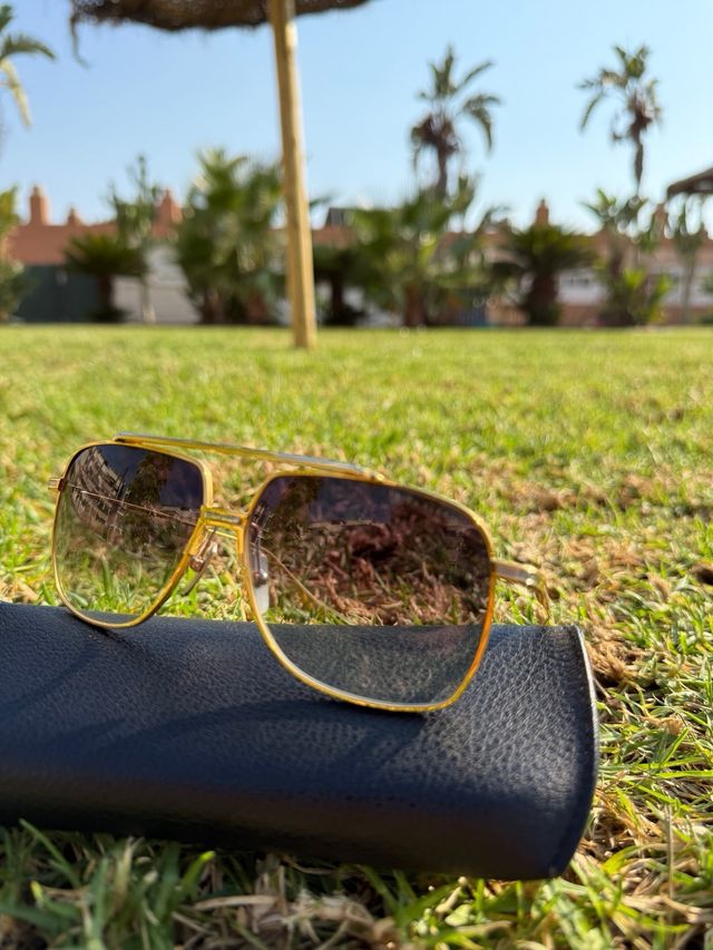 DITA Alkamx DTS-100 - Gafas sol lujo