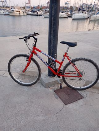 Bicicleta montaña Globe Trotter