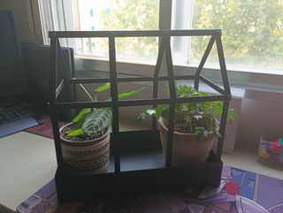Vitrina metalica negra para plantas