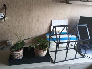 Vitrina metalica negra para plantas