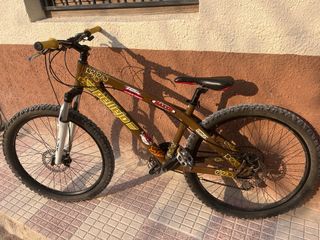 Bicicleta Orbea Pellejo MTB “Dual” 
