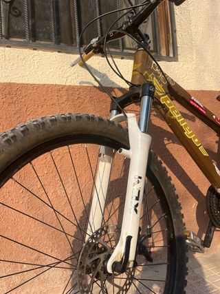 Bicicleta Orbea Pellejo MTB “Dual” 
