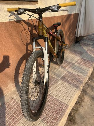 Bicicleta Orbea Pellejo MTB “Dual” 
