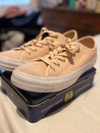 Converse Chuck Taylor Rosa