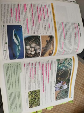 Biologia, 2 Batxillerat