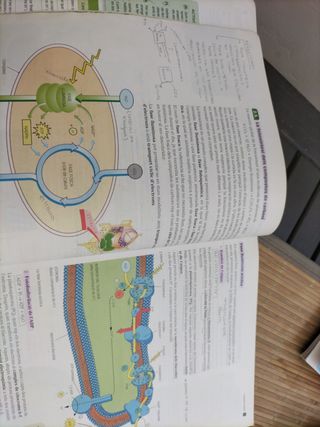 Biologia, 2 Batxillerat