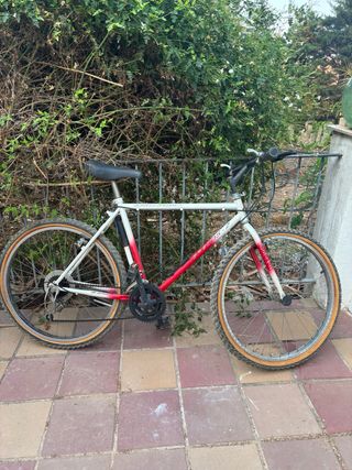 Bicicleta montaña 18 velocidades.