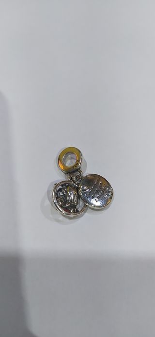 Charm de plata