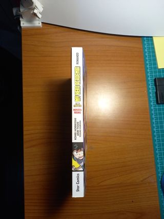 Romanzo my hero academia