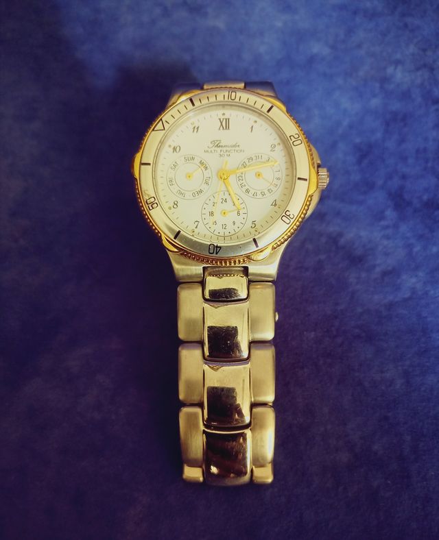 Reloj Thermidor Multifunción 30m