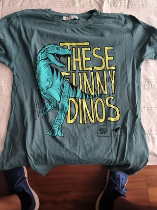 Camiseta niño dinosaurios -talla 13-14