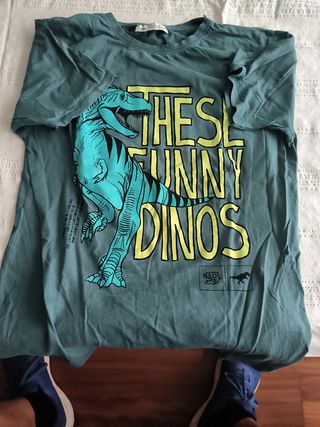 Camiseta niño dinosaurios -talla 13-14