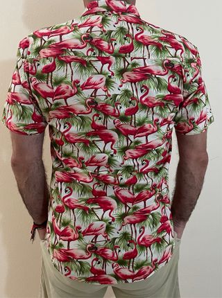 Camisa de flamencos