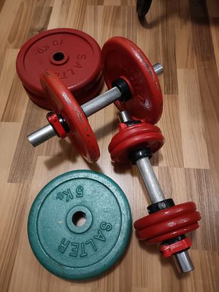Lote Mancuernas y Discos Salter 45kg