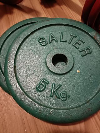 Lote Mancuernas y Discos Salter 45kg