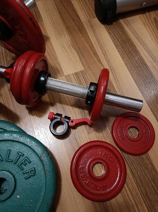 Lote Mancuernas y Discos Salter 45kg