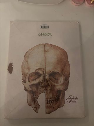 Anatomía Aplicada.