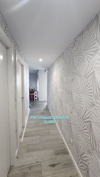 Pintor Profesional