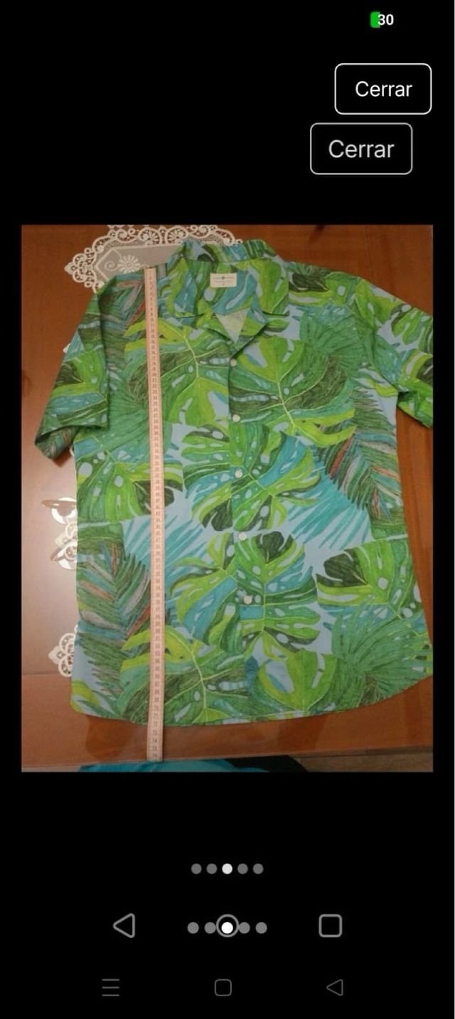 Camisa hawaiana - Verde y Azul