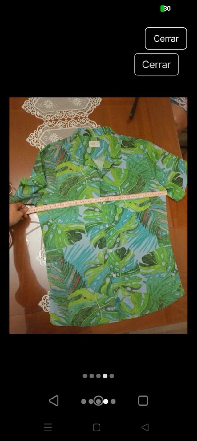 Camisa hawaiana - Verde y Azul