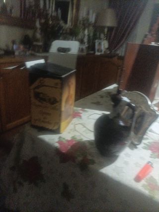 Bagaçeira Velha Quinta do Estanho