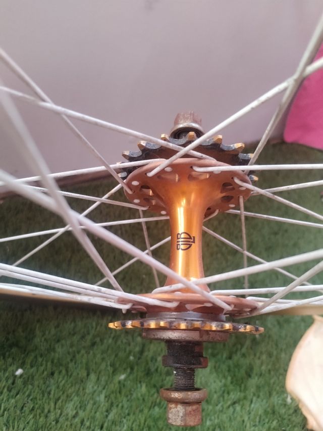 Rueda trasera fija 700c dorada