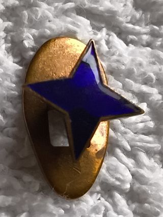 INSIGNIA SOLAPA LUCERO FALANGE ESPAÑOLA EN COBRE