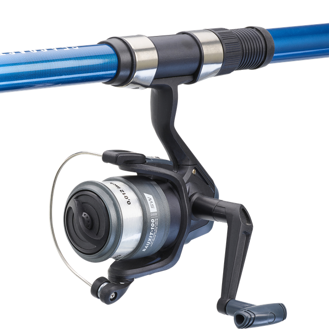 Conjunto Pesca Fija Mar Caña Y Carrete Seacoast 100 350