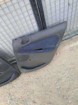 2 Paneles Puerta Trasera Peugeot 206