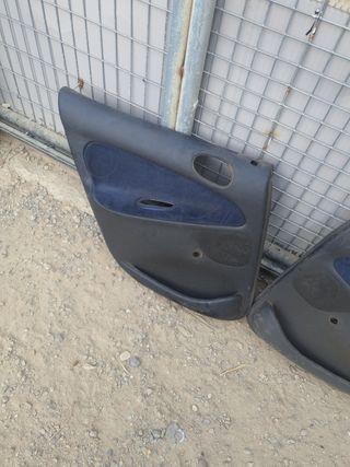 2 Paneles Puerta Trasera Peugeot 206