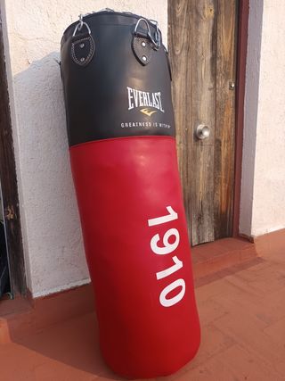 Saco boxeo Everlast 1910 + soporte para techo.
