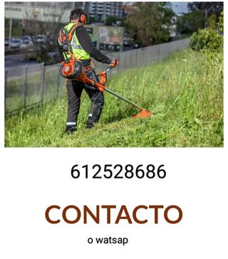 Electrista fontanero jardinero 