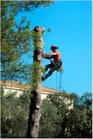Electrista fontanero jardinero 