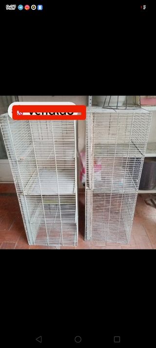 Jaula grande pajaros