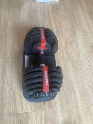 Mancuerna ajustable 2-24kg