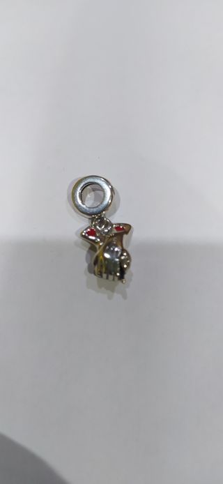 Charm de plata