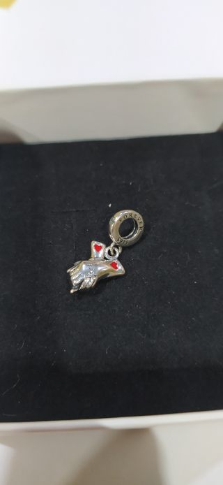 Charm de plata