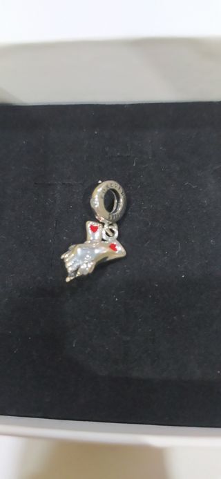 Charm de plata