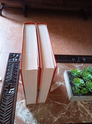 CRONICA DEL SIGLO XX