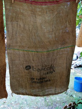 Sacos de café - Yute