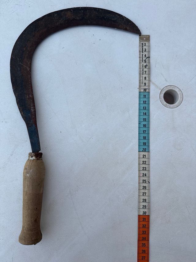 Hoz antigua de Labeanza